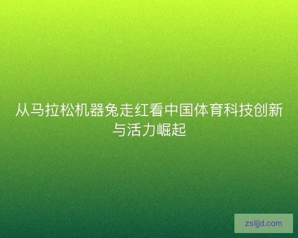 从马拉松机器兔走红看中国体育科技创新与活力崛起