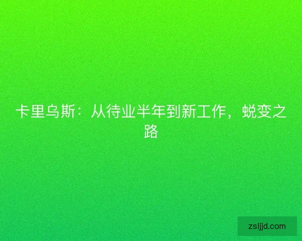 卡里乌斯：从待业半年到新工作，蜕变之路